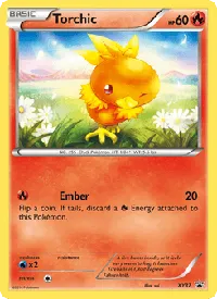 Torchic XY37