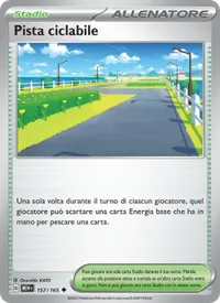 Pista ciclabile - 151