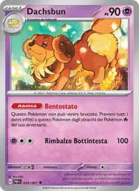 Dachsbun - Destino di Paldea