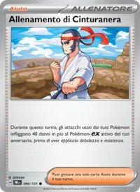 Allenamento di Cinturanera - Evoluzioni Prismatiche