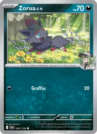 Zorua di N