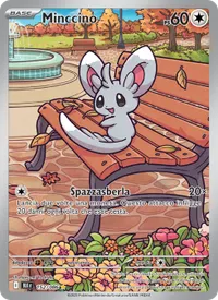 Minccino - Luce Nera