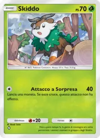 Skiddo