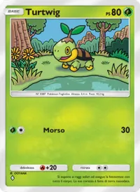 Turtwig