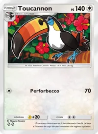 Toucannon
