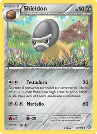 Shieldon